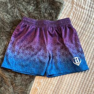 Purple and Blue Gradient Shorts L Baseball Lifestyle 101